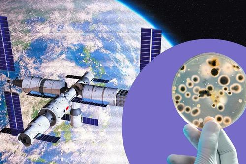 Giải mã thứ lạ lùng bất ngờ xuất hiện trong trạm không gian Trung Quốc