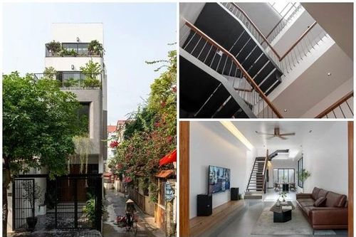 Mãn nhãn ngôi nhà như 'ốc đảo xanh' giữa lòng Hà Nội