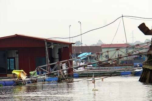 Hải Dương: Hàng nghìn lồng bè nuôi cá phủ kín khúc sông, tiềm ẩn nguy hiểm