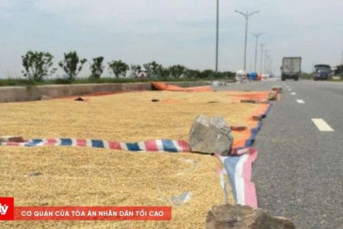 Phơi nông sản trên đường gây tai nạn bị xử lý thế nào?
