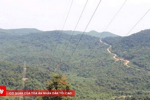 Phát hiện và hỗ trợ kịp thời nữ sinh đi lạc trong rừng sâu