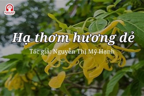 Tản văn hay: Hạ thơm hương dẻ