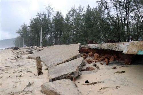Sạt lở bờ sông, sụt lún kè biển nghiêm trọng ở Trà Vinh