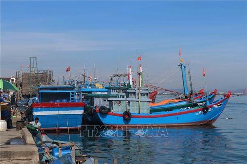 Phạt 5 chủ tàu vi phạm quy định giám sát hành trình khai thác thủy sản