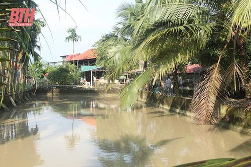 Khơi dậy đồng Quan