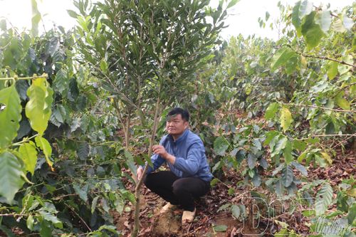 Tuần Giáo lập 'cú đúp' xây dựng nông thôn mới