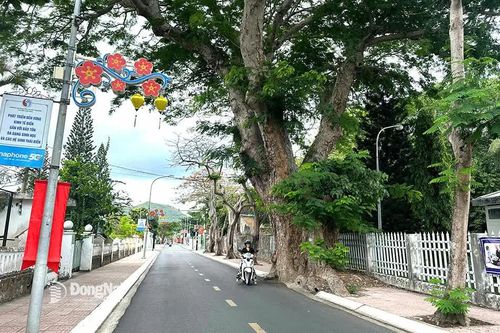 Du lịch xanh ở Côn Đảo