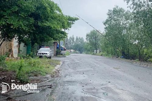 Công an Đồng Nai vào cuộc xác minh vụ việc lập barie chắn đường thu phí xe tải