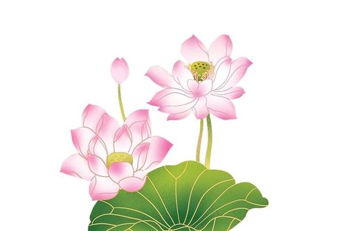 Thơ Phạm Đức Long: Di vật đời người