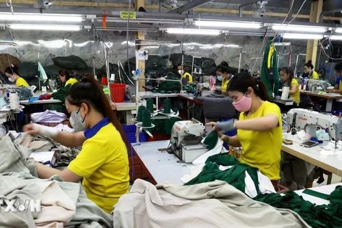 Doanh nghiệp Việt ứng phó tăng trưởng chậm của kinh tế thế giới