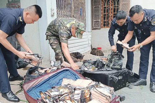 Thu giữ hơn 2,5 tấn thực phẩm đông lạnh nhập lậu