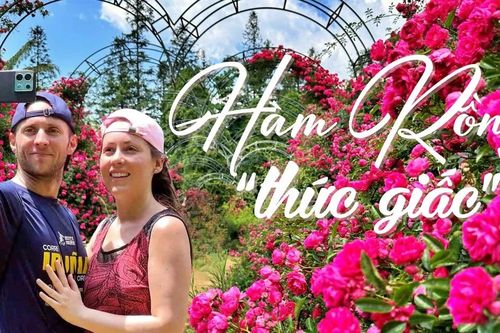 Hàm Rồng 'thức giấc'