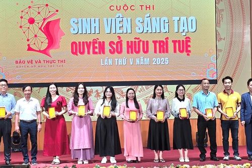 'Bảo vệ và thực thi quyền sở hữu trí tuệ'