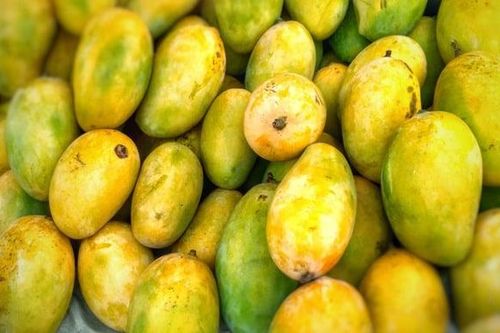 Xoài Việt Nam chiếm tới 97% thị trường Trung Quốc