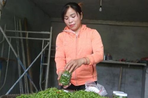 Nâng ý chí thoát nghèo cho người dân Đông Giang từ liên kết chuỗi giá trị