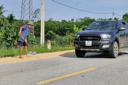 Hiểm họa mất an toàn giao thông khi lòng đường thành sân phơi lúa