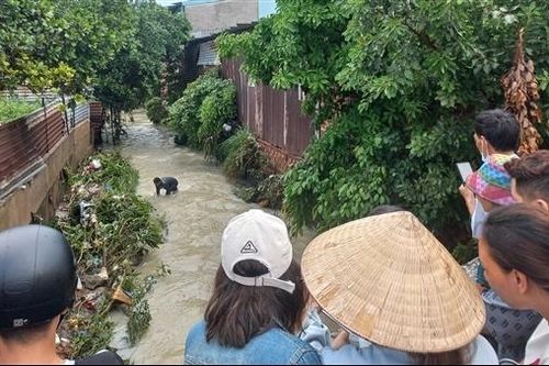 Nữ học sinh lớp 5 bị nước suối cuốn mất tích sau trận mưa lớn