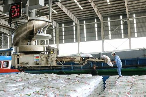 Doanh nghiệp phân bón - hóa chất ghi nhận lợi nhuận tăng mạnh, nhưng đối diện nhiều rủi ro từ giá và chính sách