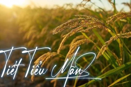 Từ ngày 21/5 đến 5/6/2025 nên làm điều sau để thu hút tài lộc, sức khỏe, mọi việc hanh thông