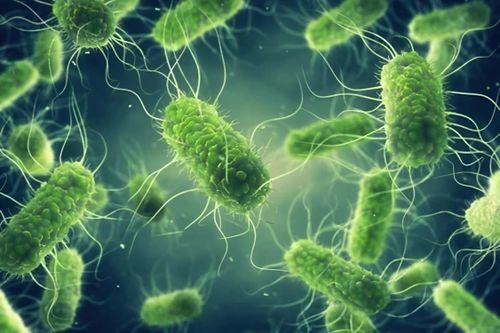 4 'thủ phạm' gây ngộ độc thực phẩm phổ biến nhất thế giới