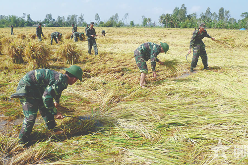 Hậu Giang: Học và làm theo lời Bác bằng những việc làm ý nghĩa, thiết thực