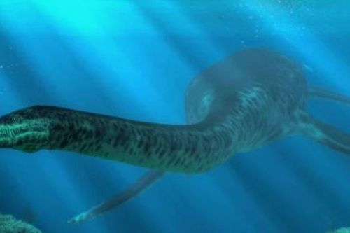 Quái vật hồ Loch Ness lộ diện, có băng hình ghi lại?