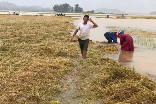 Mưa lũ bất thường gây thiệt hại lớn ở Hà Tĩnh