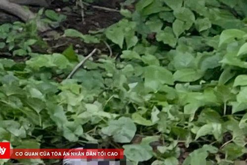 Phát hiện thi thể đã phân hủy ở nghĩa trang