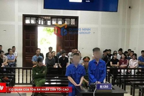 Tổ chức cho người khác nhập cảnh trái phép, các đối tượng lĩnh 9 năm tù