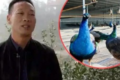 Thu tiền tỷ/năm nhờ nuôi loài khổng lồ có từ hàng ngàn năm trước