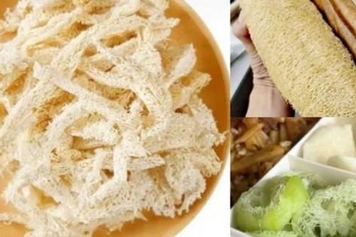 Thứ nhiều người Việt vứt đi, ở đây thành 'mỏ vàng', bán gần 1 triệu/kg