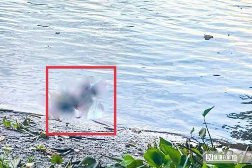 Tìm thấy thi thể bé gái 11 tuổi bị nước cuốn trôi trong cơn mưa lớn tại Đồng Nai