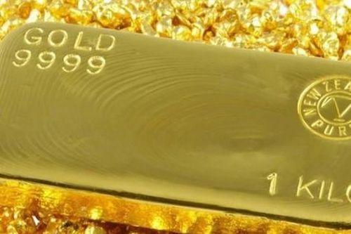 Nóng nhất trong ngày: Giá vàng ngược mọi dự báo; Mực nháy Vũng Áng hot xình xịch, khách ăn sống tại chỗ