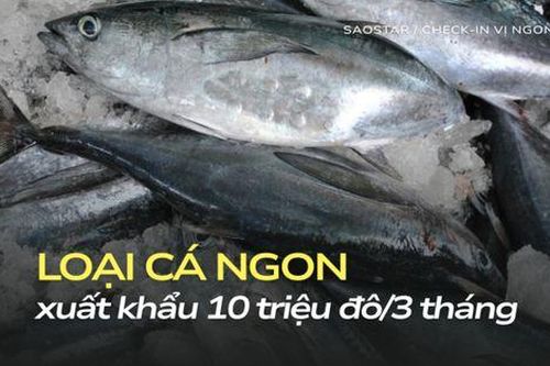Một loại cá từ biển Việt Nam xuất khẩu 10 triệu đô/3 tháng, ngon bổ lại rất rẻ