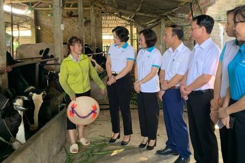 Kinh nghiệm 'về đích' sớm trong thực hiện mục tiêu giảm nghèo của Hà Nội