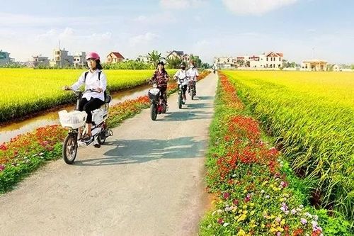 'Quả ngọt' từ chương trình nông thôn mới