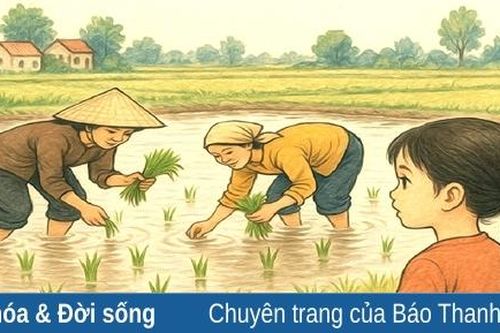 Bàn chân mẹ