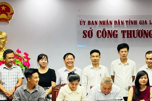 Kết nối cung cầu hàng hóa Gia Lai-Ninh Bình: Mở rộng thị trường, tạo dựng chuỗi liên kết bền vững