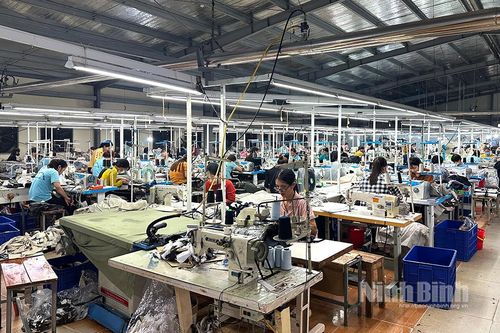 Ninh Bình đẩy nhanh tiến độ cuộc điều tra doanh nghiệp năm 2025
