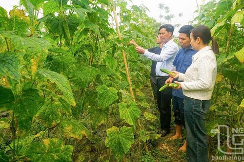 Đào tạo nghề nông nghiệp: Những thách thức đặt ra