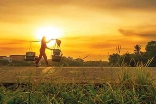 Nhọc nhằn dưới nắng nóng