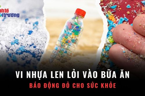 Vi nhựa len lỏi vào bữa ăn, báo động đỏ cho sức khỏe toàn cầu