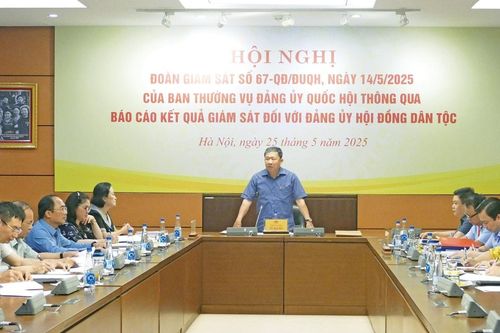 Đoàn giám sát của Ban Thường vụ Đảng ủy Quốc hội làm việc với Đảng ủy Hội đồng Dân tộc