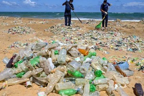 Tình trạng ô nhiễm đe dọa các vùng biển của Liên minh châu Âu