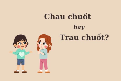 'Chau chuốt' hay 'trau chuốt' mới đúng chính tả?