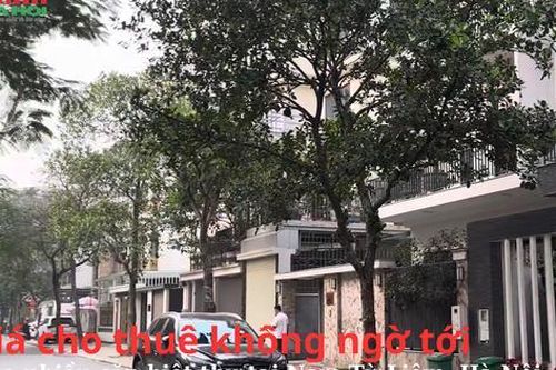 Giá cho thuê không ngờ tới của nhiều căn biệt thự tại Nam Từ Liêm, Hà Nội