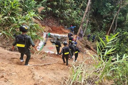 Gia Lai: Phát hiện hầm vàng trái phép trong rừng phòng hộ, chính quyền vào cuộc