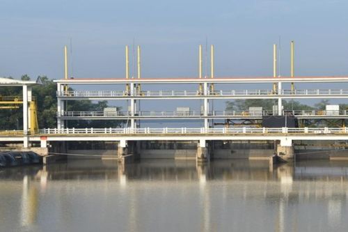 Khoảng 6.600 đến 10.100ha cây trồng có nguy cơ bị hạn hán, thiếu nước