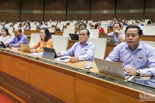 Đại biểu Quốc hội: Đừng để 'tiền trong két mà lãi vay vẫn phải trả'