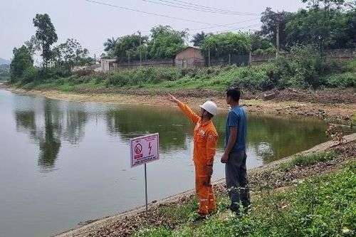 Công ty Điện lực Vĩnh Phúc bảo đảm an toàn hành lang lưới điện